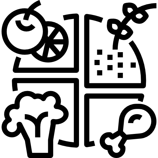healthy plate icon
